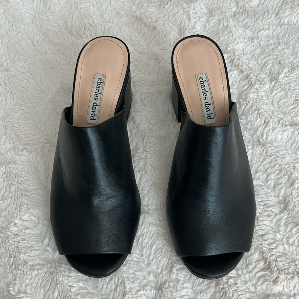 Charles David Leather Sandal - Picture 3 of 7
